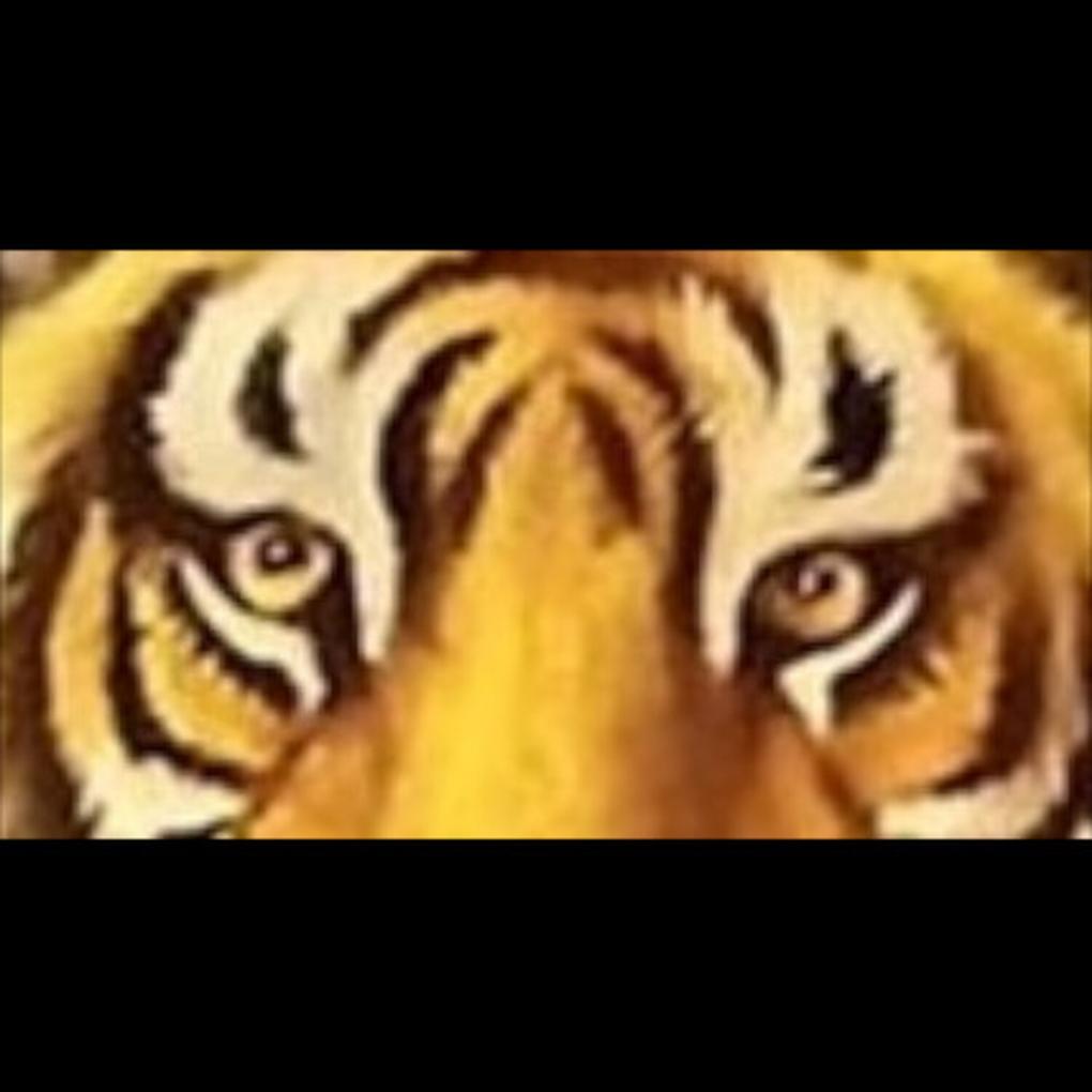 slide258037